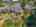 Blurred preview of media: SW 41st ave-60
