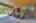 Blurred preview of media: 250242-33