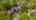 Blurred preview of media: DJI_20260531041353_0703_D