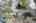 Blurred preview of media: 099