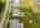 Blurred preview of media: DJI_20250807150744_0796_D
