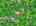 Blurred preview of media: DJI_20260616115325_0857_D_8_D_9_D_easyHDR