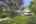 Blurred preview of media: 5