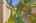 Blurred preview of media: DSC09187