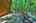 Blurred preview of media: IMG_0592_3_4_easyHDR