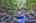 Blurred preview of media: 9zf