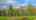 Blurred preview of media: IMG_2821