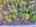 Blurred preview of media: DJI_20260505134255_0823_D_4_D_5_D_easyHDR