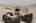 Blurred preview of media: 1-12