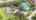Blurred preview of media: DJI_0539
