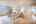 Blurred preview of media: IMG_9312