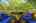 Blurred preview of media: 17