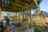 Blurred preview of media: 28