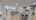 Blurred preview of media: Unknown media