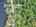 Blurred preview of media: DJI_20250616144206_0813_D_4_D_5_D_easyHDR