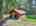 Blurred preview of media: DJI_20260829120854_0267_D_8_D_9_D_easyHDR