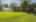 Blurred preview of media: IMG_3967.4