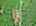 Blurred preview of media: DJI_20260609113701_0671_D_2_D_3_D_easyHDR
