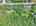 Blurred preview of media: DJI_20260527103719_0035_D_19_0036_D_20_0037_D_easyHDR