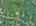 Blurred preview of media: DJI_20260818120840_0010_D_1_D_2_D_easyHDR