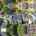Blurred preview of media: 98 G Street unit 4 Boston Massachusetts Job 41315 0047