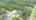 Blurred preview of media: DJI_0684