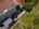 Blurred preview of media: 43 Cresta Verde-5