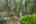 Blurred preview of media: PAX_2118