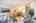 Blurred preview of media: IMG_8535 copy 2