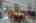 Blurred preview of media: 11