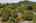 Blurred preview of media: Aerial 11