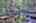 Blurred preview of media: IMG_4751_2_3_easyHDR