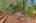 Blurred preview of media: 260141-33