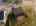 Blurred preview of media: h_haylock-30