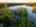 Blurred preview of media: TWI-DJI_0006-HDR