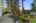 Blurred preview of media: 1-48
