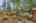 Blurred preview of media: Bonney Lake 6812 Exterior-16