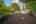 Blurred preview of media: DSC09477