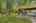 Blurred preview of media: bristow_098
