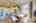 Blurred preview of media: 25-web-or-mls-iPixx_01_15