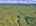 Blurred preview of media: DJI_20260829115615_0197_D_8_D_9_D_easyHDR