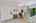 Blurred preview of media: DSC00481