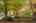 Blurred preview of media: 1-4
