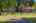 Blurred preview of media: Kenton Park 17