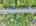 Blurred preview of media: DJI_20260527104007_0065_D_6_D_7_D_easyHDR