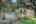 Blurred preview of media: 11303VanceJacksonG4-4