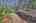 Blurred preview of media: IMG_9748_49_50_easyHDR