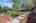 Blurred preview of media: DSC_7602