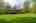 Blurred preview of media: Kerwood-41