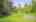 Blurred preview of media: IMG_3234